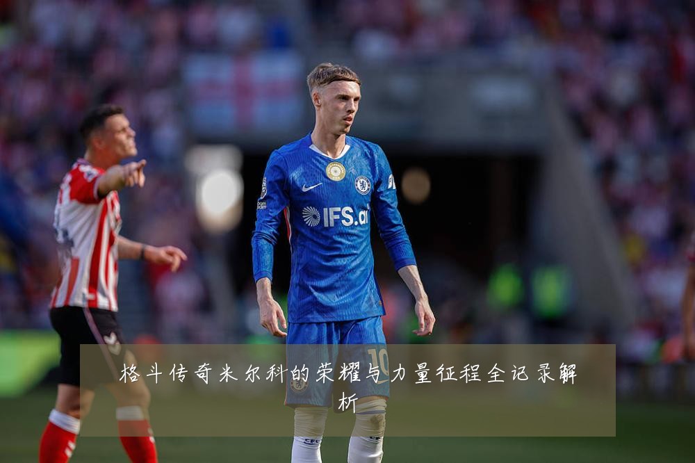 格斗传奇米尔科的荣耀与力量征程全记录解析